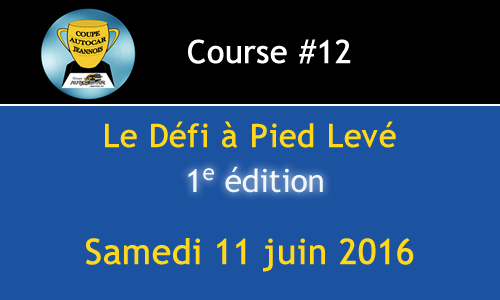 ledefiapiedleve
